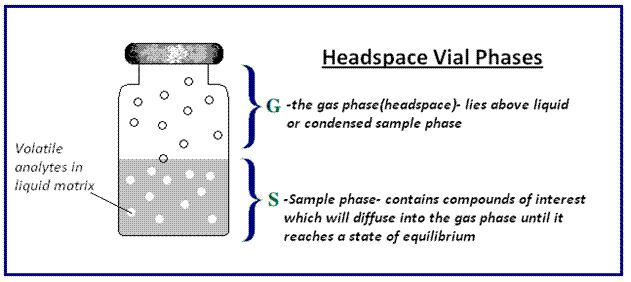 Headspace Gas Chromatography for Dissolved Gas Measurement