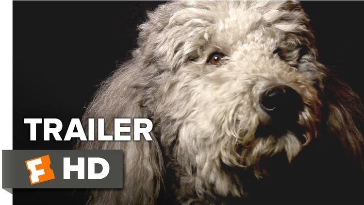 Heart of a Dog (2015 film) Heart of a Dog Official Trailer 1 2015 Documentary Movie HD