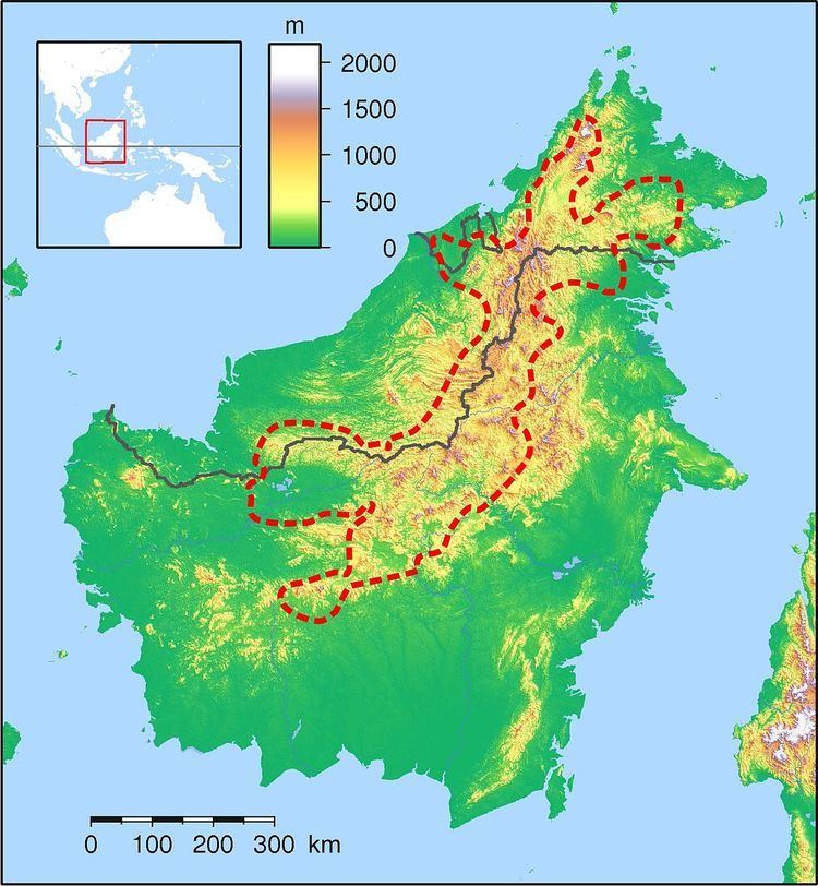 Heart of Borneo