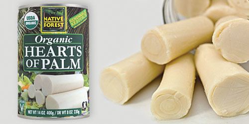 Heart of palm The Native Forest Project Organic Hearts of Palm a Delicacy With