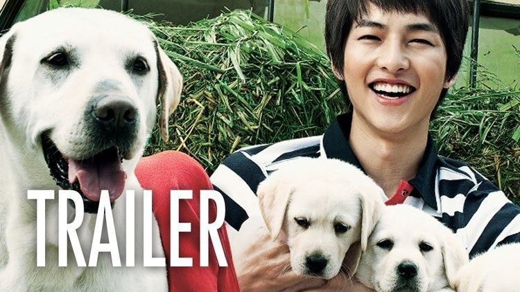 Hearty Paws 2 Hearty Paws 2 OFFICIAL TRAILER Song Joongki amp Puppies YouTube