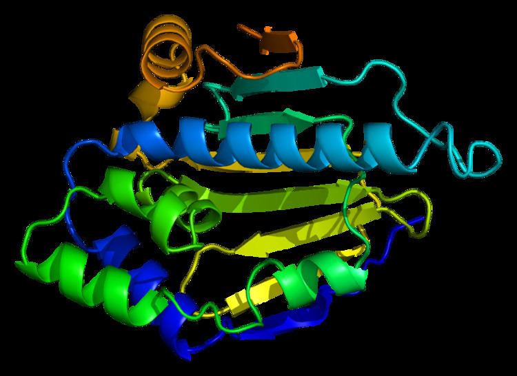 Heat shock protein 90kDa alpha (cytosolic), member A1
