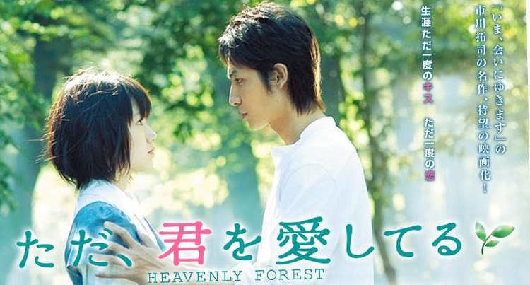 Heavenly Forest The Keizou Journal Review Heavenly Forest