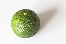 Hebesu httpsuploadwikimediaorgwikipediacommonsthu