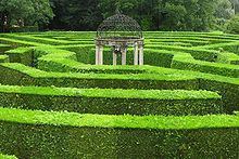 Hedge maze httpsuploadwikimediaorgwikipediacommonsthu