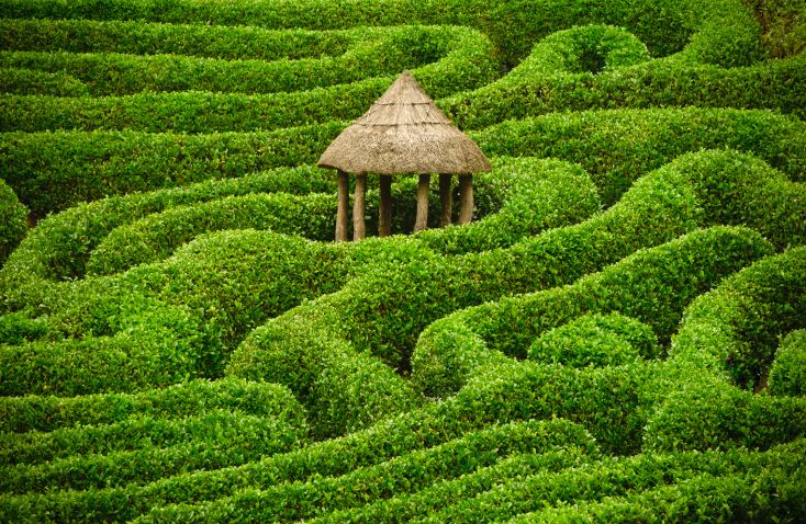 Hedge maze 48 quotMindBogglingquot Hedge Maze amp Garden Labyrinth Designs Pictures