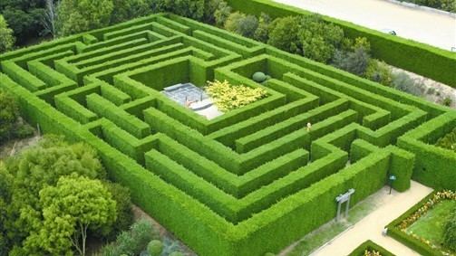 Hedge maze Who needs a farm when you can have a giant hedge maze StardewValley