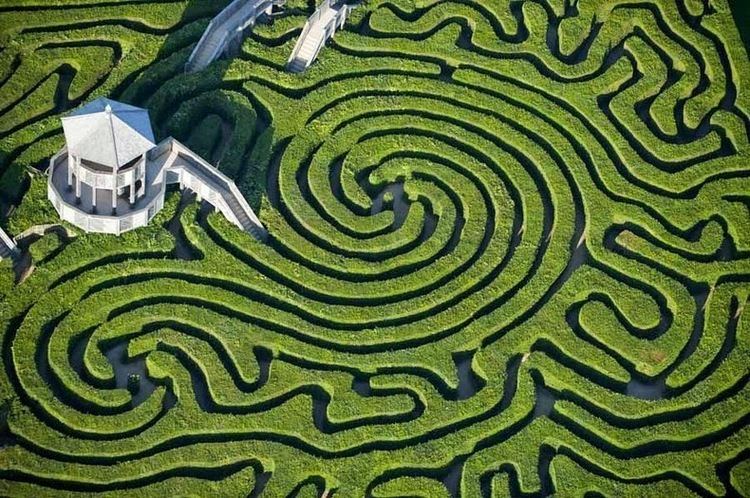 Hedge maze Longleat Hedge Maze The Longest in The World Amusing Planet