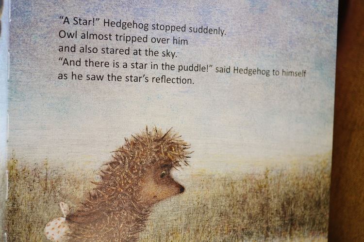 Hedgehog in the Fog Julias Bookbag Hedgehog in the Fog