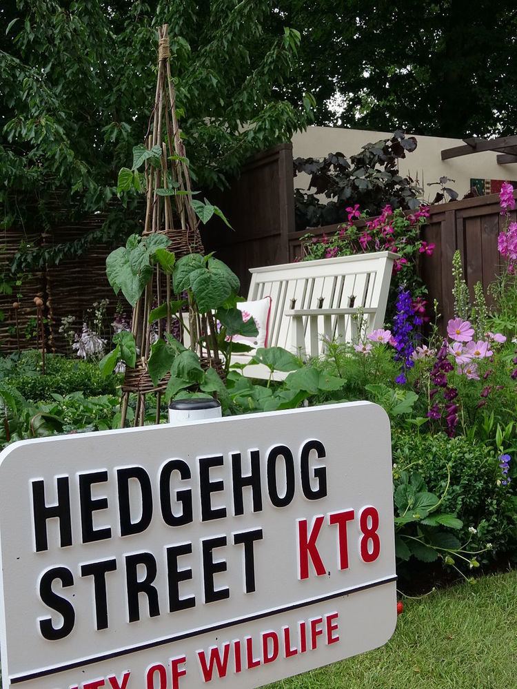 Hedgehog Street