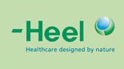 Heel (corporation) httpsuploadwikimediaorgwikipediaen556Hee