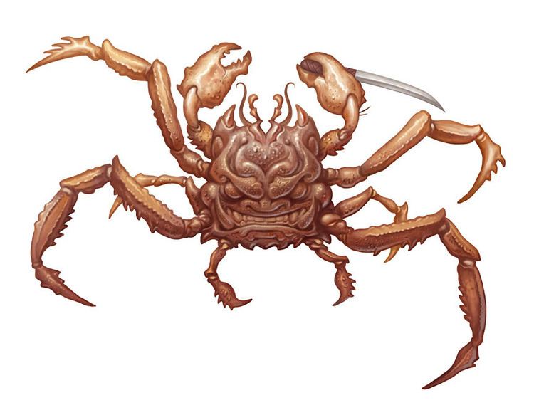 Heikegani THE ART OF JIM NELSON Heikegani Crab