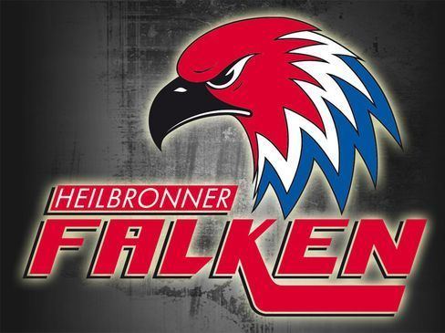 Heilbronner Falken Falken verpflichten nchsten DefensivSpezialisten EishockeyMagazin