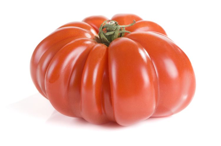 Heirloom tomato 9 Tips to Grow Amazing Tomatoes in Colorado Urban Farm Colorado