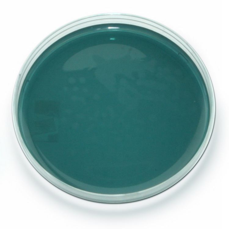 Hektoen enteric agar Hektoen Enteric agar Medical Laboratories