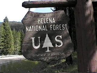 Helena National Forest wwwforestcampingcomdowgraphicsheljpg