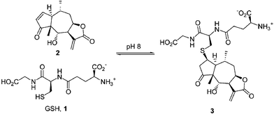 Helenalin Reversible Michael addition of thiols as a new tool for dynamic