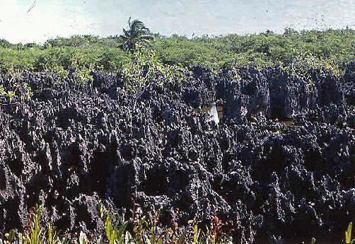 Hell, Grand Cayman The Cayman Islands A Geological View