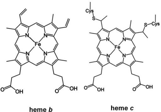 Heme B Chemical structures of heme b and heme c Openi