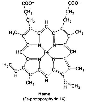 Heme Structure of Heme