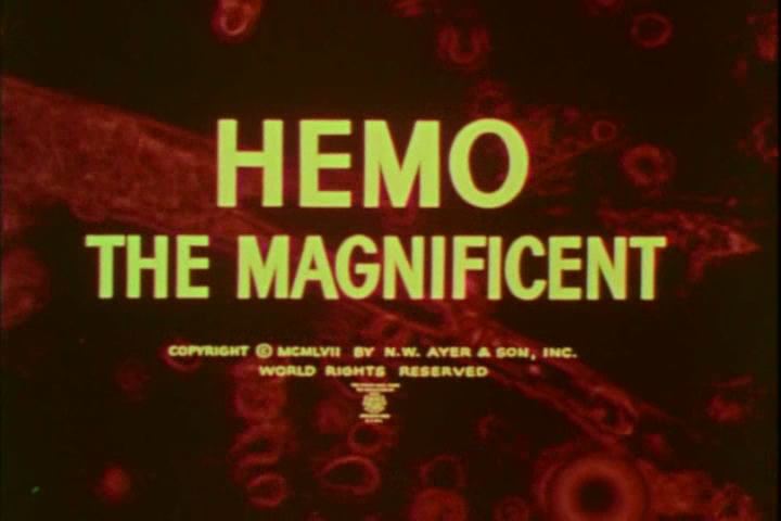 Hemo the Magnificent Hemo The Magnificent Cartoons Comics Model Sheets