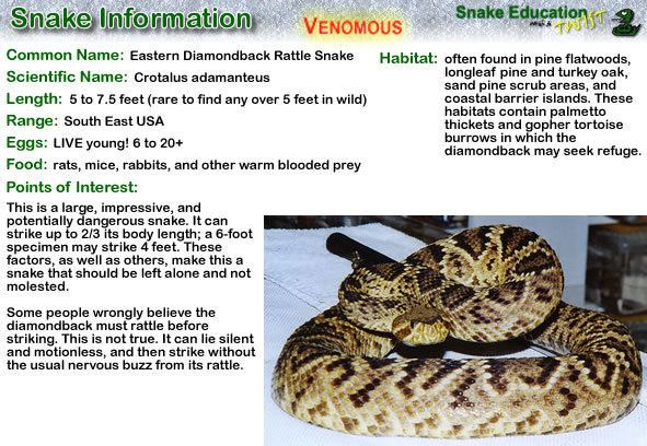 Hemotoxin Snake Educationcom General Information