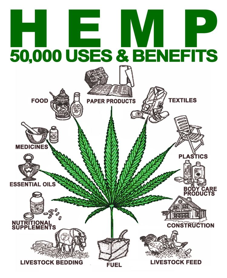 Hemp Why we need Hemp Janella Purcell