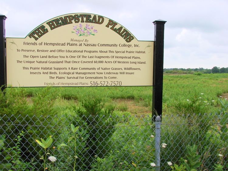 Hempstead Plains Inspiration from a Prairie Ecological Landscape Alliance