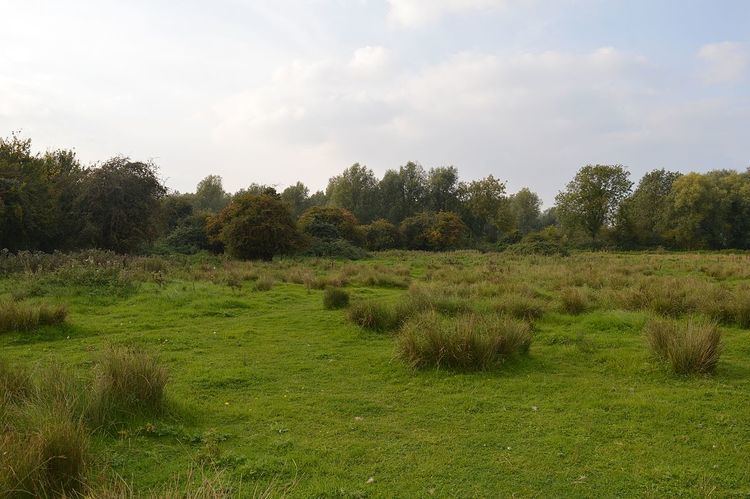 Henlow Common and Langford Meadows