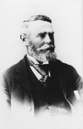 Henry Brown (New Zealand politician)