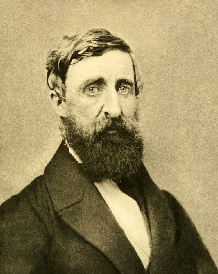 Henry David Thoreau Henry David Thoreau Wikipedia the free encyclopedia