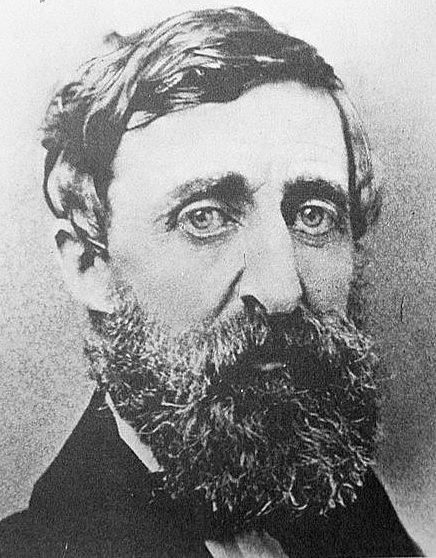 Henry David Thoreau Henry David Thoreau Panther 1856 Brattleboro History