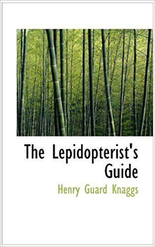 Henry Guard Knaggs The Lepidopterists Guide Amazoncouk Henry Guard Knaggs