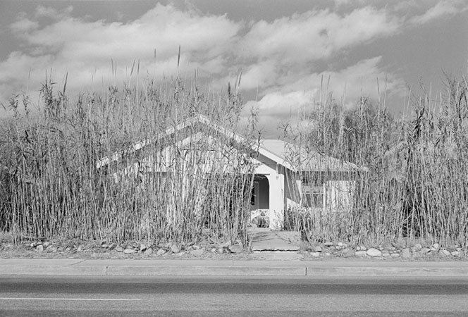 Henry Wessel, Jr. PaceMacGill Gallery Artist Page
