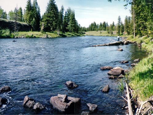 Henrys Fork (Snake River) httpsuploadwikimediaorgwikipediacommonsee
