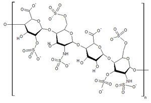 Heparan sulfate Structural BiochemistryCell Signaling PathwaysHeparan Sulfate