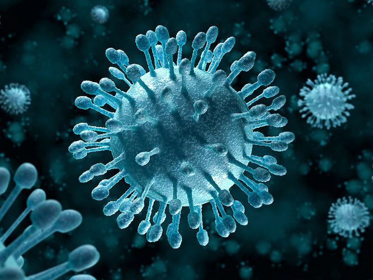 Hepatitis C virus New 39miracle39 drug eliminates Hepatitis C virus in up to 98 pc