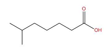 Heptanoic acid 6meheptanoic acid