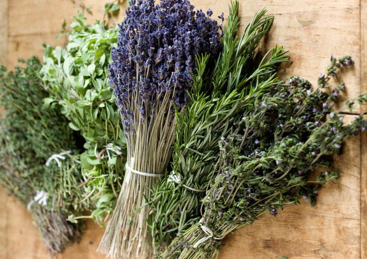 Herbes de Provence Herbes de Provence Get your Daily Dose of Lavender Southern Green