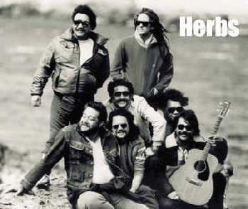 Herbs (band) HERBS HISTORY
