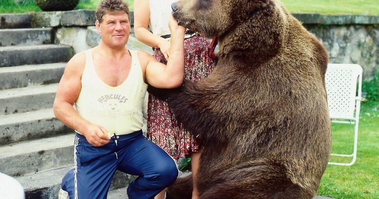 Hercules (bear) Estate where TV star Hercules the bear is buried put up for sale as
