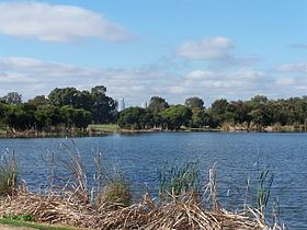 Herdsman Lake httpsuploadwikimediaorgwikipediacommonsthu