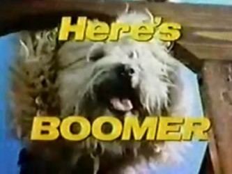 Here's Boomer Here39s Boomer Wikipedia