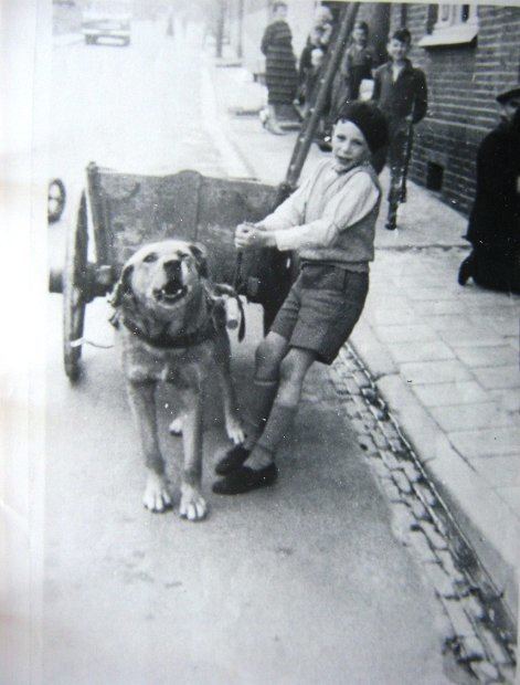 Herman Bouwens Herman Bouwens en zijn Karhond 1954