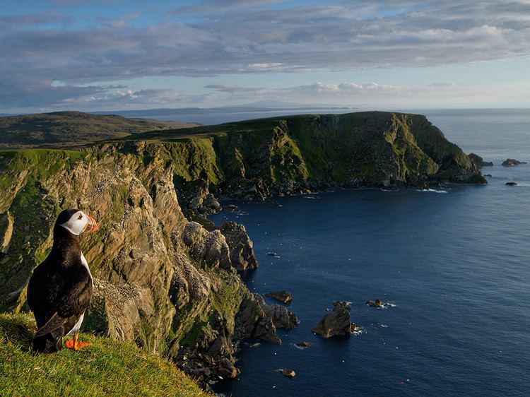 Hermaness Shetland Islands Puffin National Geographic Travel Daily Photo