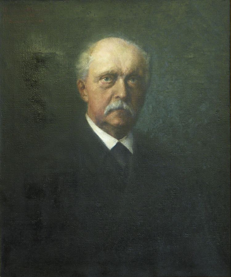 Hermann von Helmholtz FileHermann von Helmholtz by Hans Schadowjpg Wikimedia