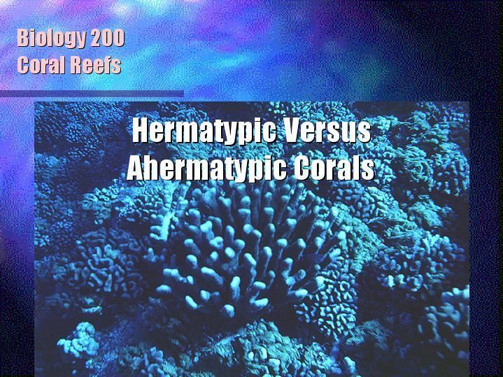 Hermatypic coral kruppwcchawaiieduBIOL200powerpntcorlnutrimg