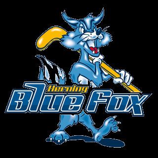 Herning Blue Fox httpsuploadwikimediaorgwikipediaen449Her