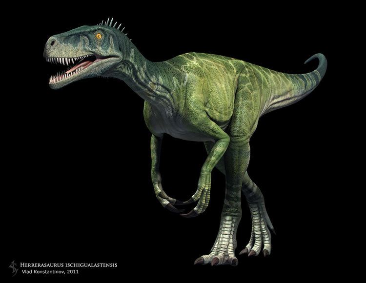Herrerasaurus httpswwwnewdinosaurscomwpcontentuploads20