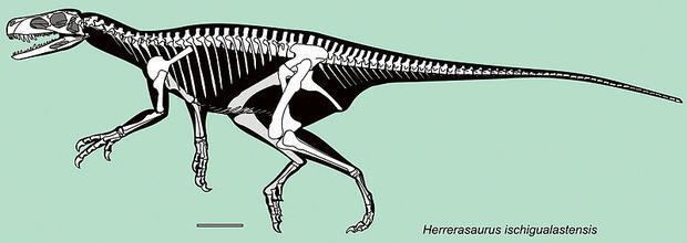 Herrerasaurus 10 Primitive Facts About Herrerasaurus Mental Floss